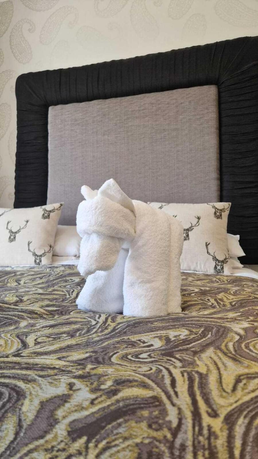 فندق The Abbotsford كالالندر المظهر الخارجي الصورة